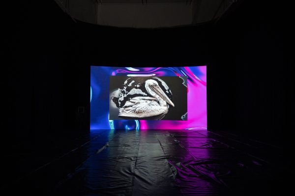 Lublin, 20.01.2025 Galeria Labirynt - Barbara Gryka

Fot. Wojciech Pacewicz
w.pacewa@gmail.com
